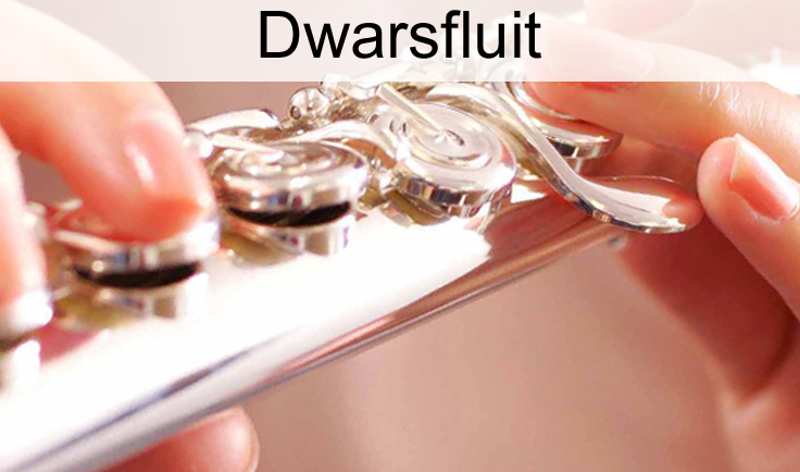 Dwarsfluit-1