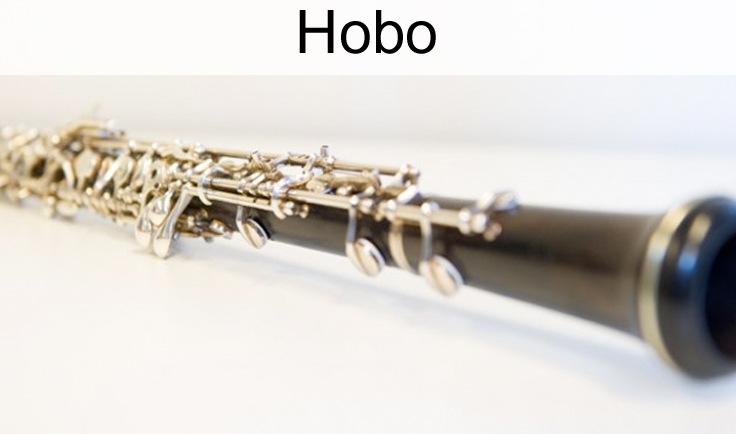 Hoboles Helmond