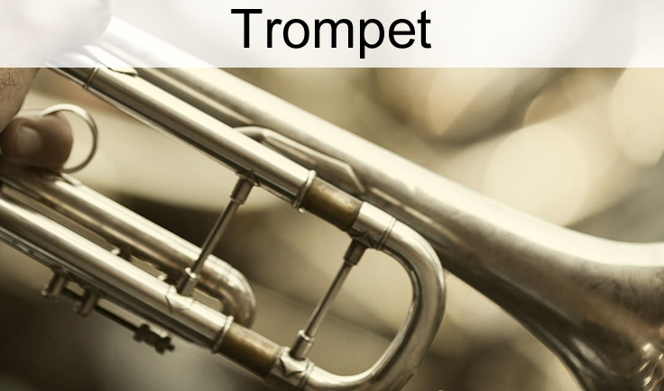 trompetles helmond